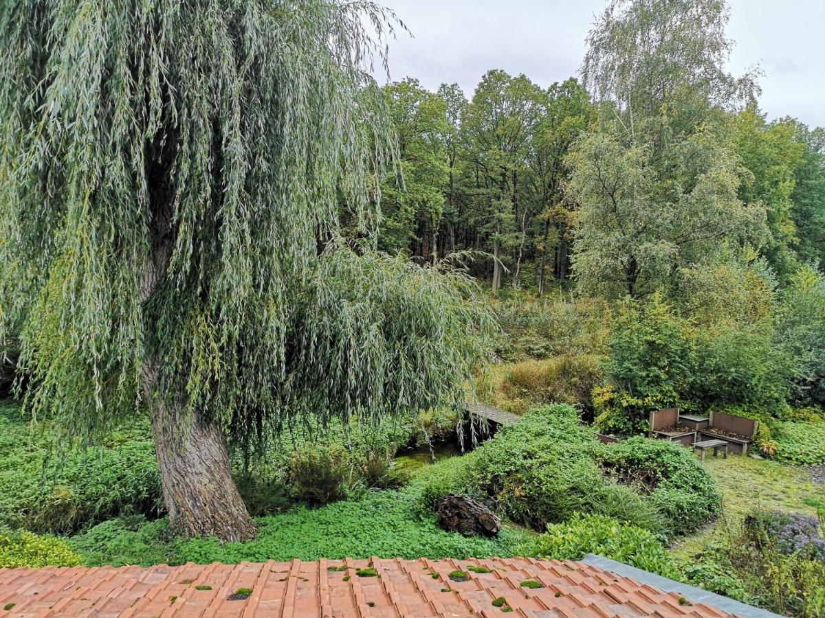 Vakantieverblijf Volmolen B&B Maaseik Exterior photo